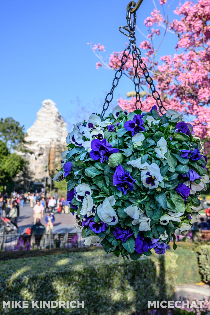 , Disneyland Update – Flattening New Orleans Square & Evil Genie Tricks