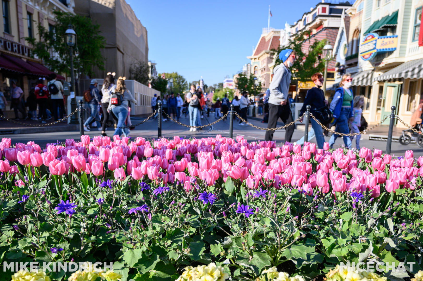 , Disneyland Update – Flattening New Orleans Square & Evil Genie Tricks
