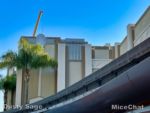 Downtown Disney amc removal side-micechat