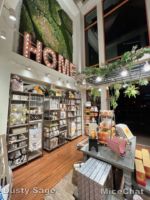 Downtown Disney home store 1-micechat