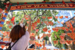 Disneyland Lunar New Year