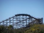 Original Gwazi 1