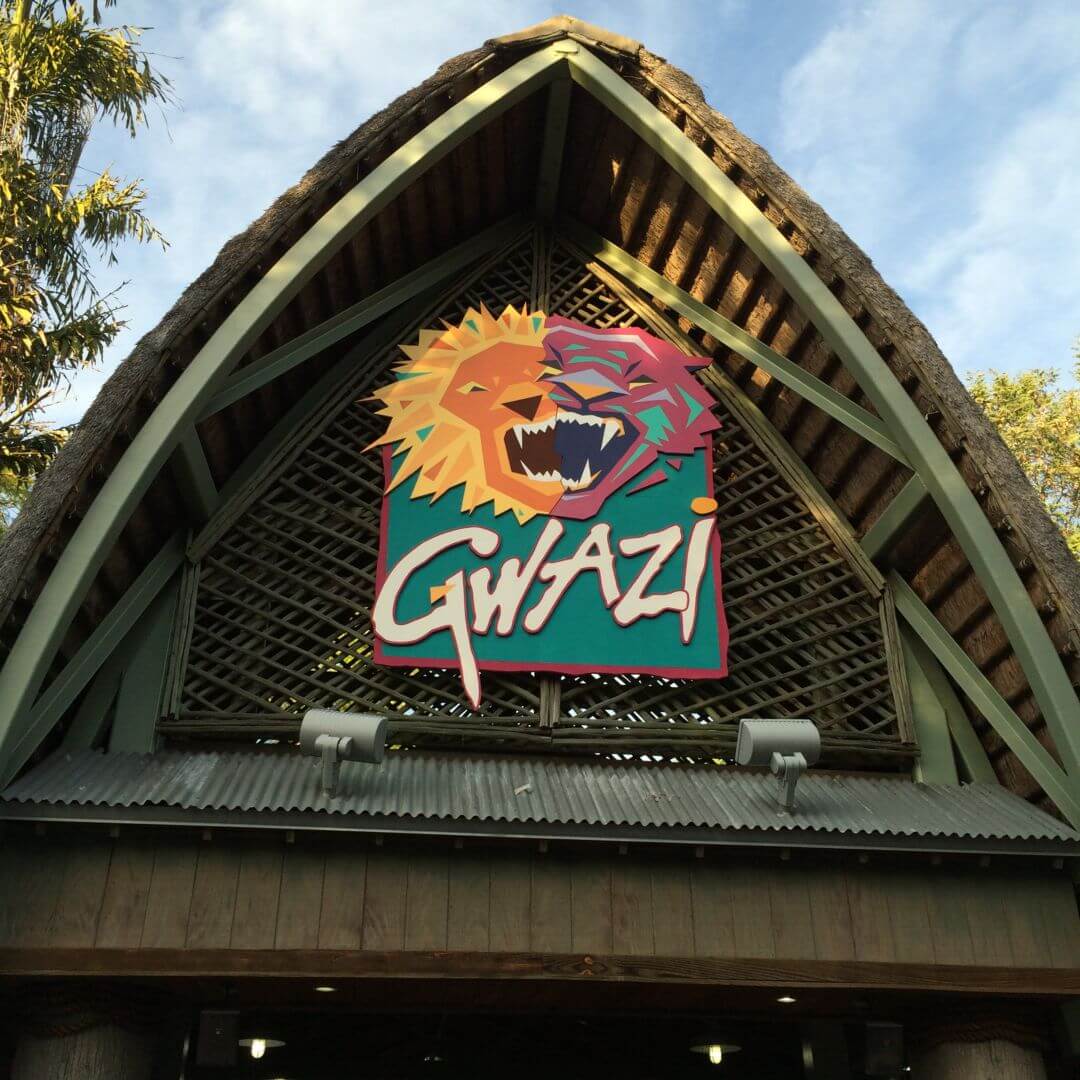 , FIRST LOOK: Iron Gwazi Awakens at Busch Gardens Tampa!