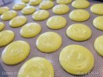 TODAY Cafe Macaron Mardi Gras Cake Universal Orlando Disney Dish MiceChat macaron shell