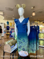 disneyland-downtown-disney-disney-dress-shop-princess-and-the-frog-tiana-dress