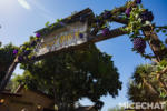 002_Knotts_Boysenberry_Festival__decorations