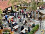 DCA Food and Wine Tasting Event