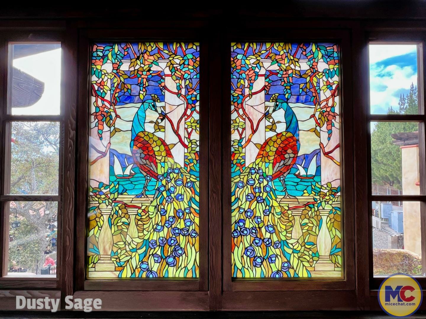 , Disneyland Update – Actions Speak Louder Than Words