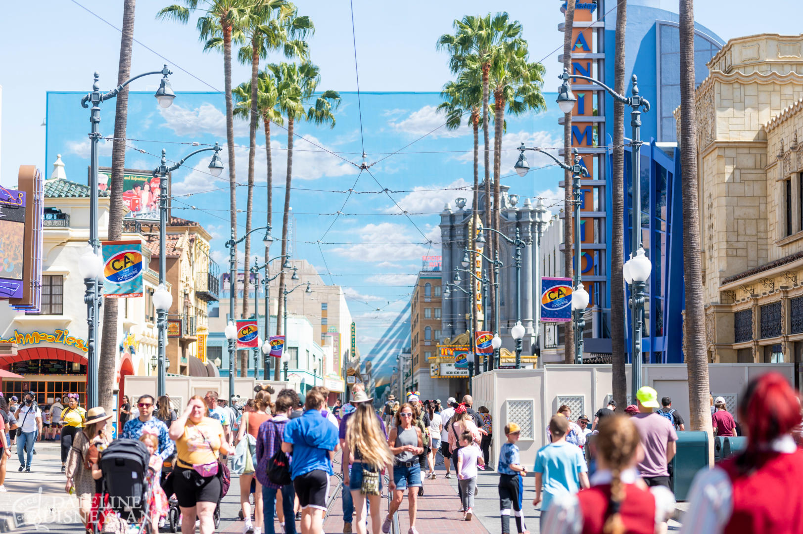 , Disneyland Update: Springtime Magic, Construction & Concerns