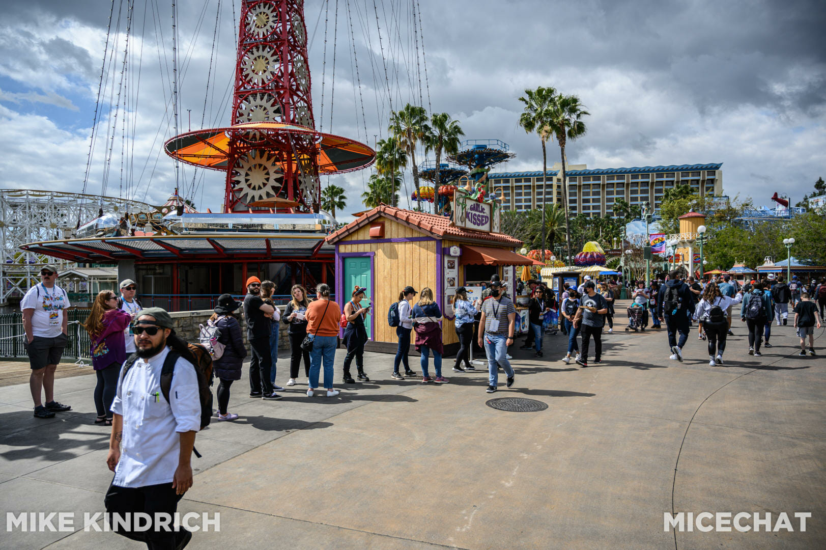 , Disneyland Update – Actions Speak Louder Than Words