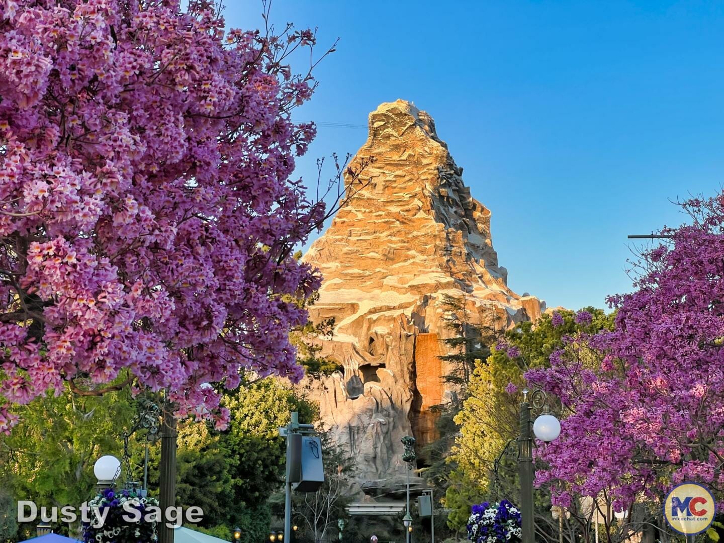 , Disneyland Update – Bibbidi Bobbidi Kaboom!