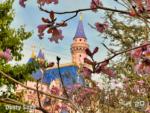 Disneyland Castle Pink Trees