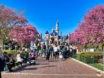 Disneyland Castle Pink Trees-micechat