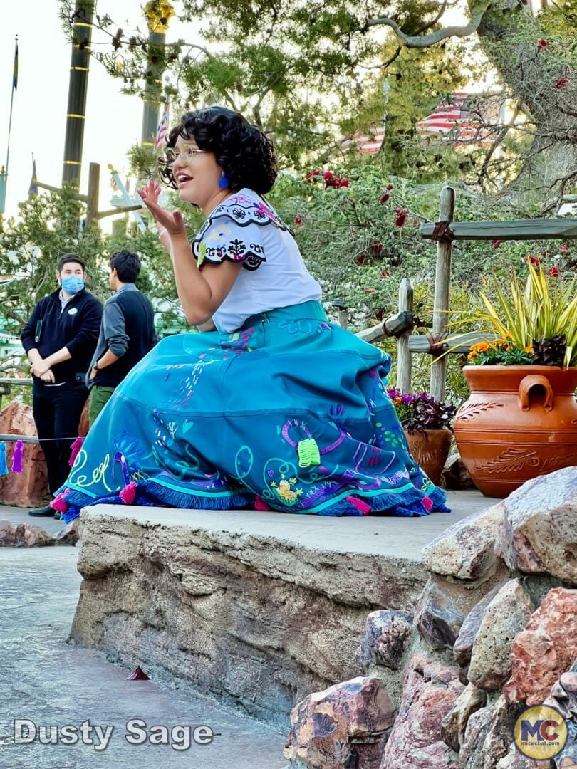 , Disneyland Update – Let’s Talk About Bruno… And Everything Else