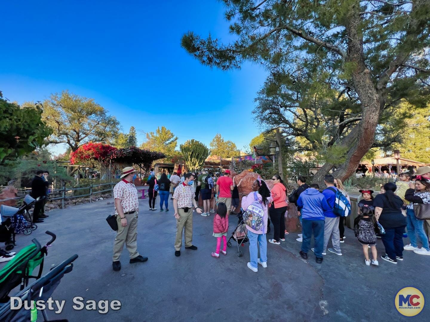, Disneyland Update – Bibbidi Bobbidi Kaboom!