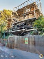 Disneyland Construction Tarzan Treehouse-micechat