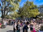 Disneyland Cosntruction New Orleans Square pathways 2