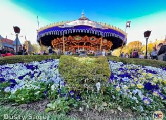 Parenting in the Parks: Top Tips for Your Kid’s First Disneyland Trip