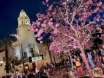 Disneyland Food and Wine Festival DCA 2022 MiceChat Carthay Circle