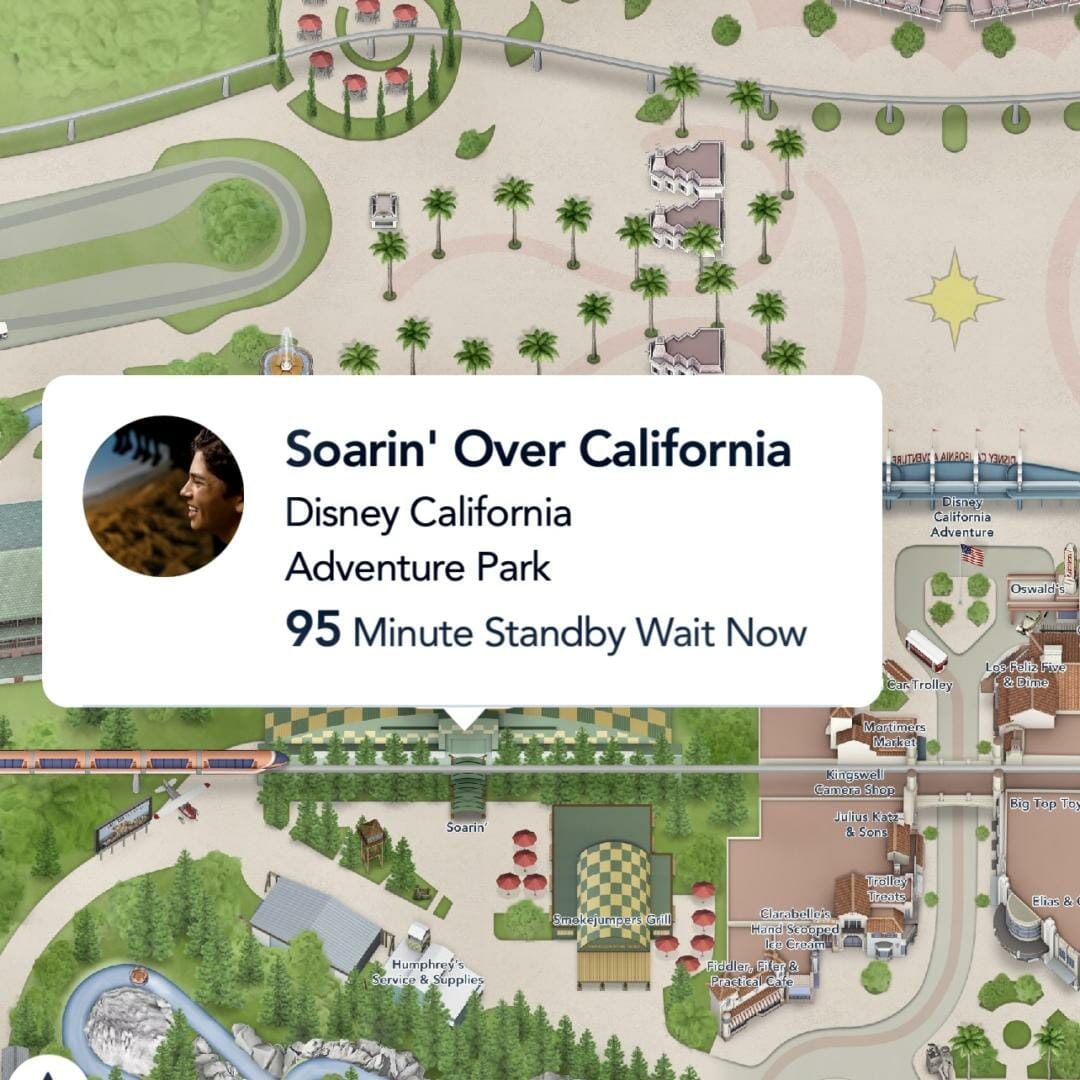 , Disneyland Update – Actions Speak Louder Than Words
