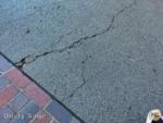 Disneyland Main Street Cracks 5-micechat