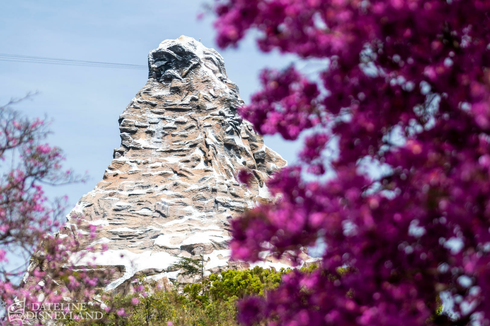 Disney dining, Dateline Disneyland: Disney Dining Drama &#038; Downtown Disney Demolition