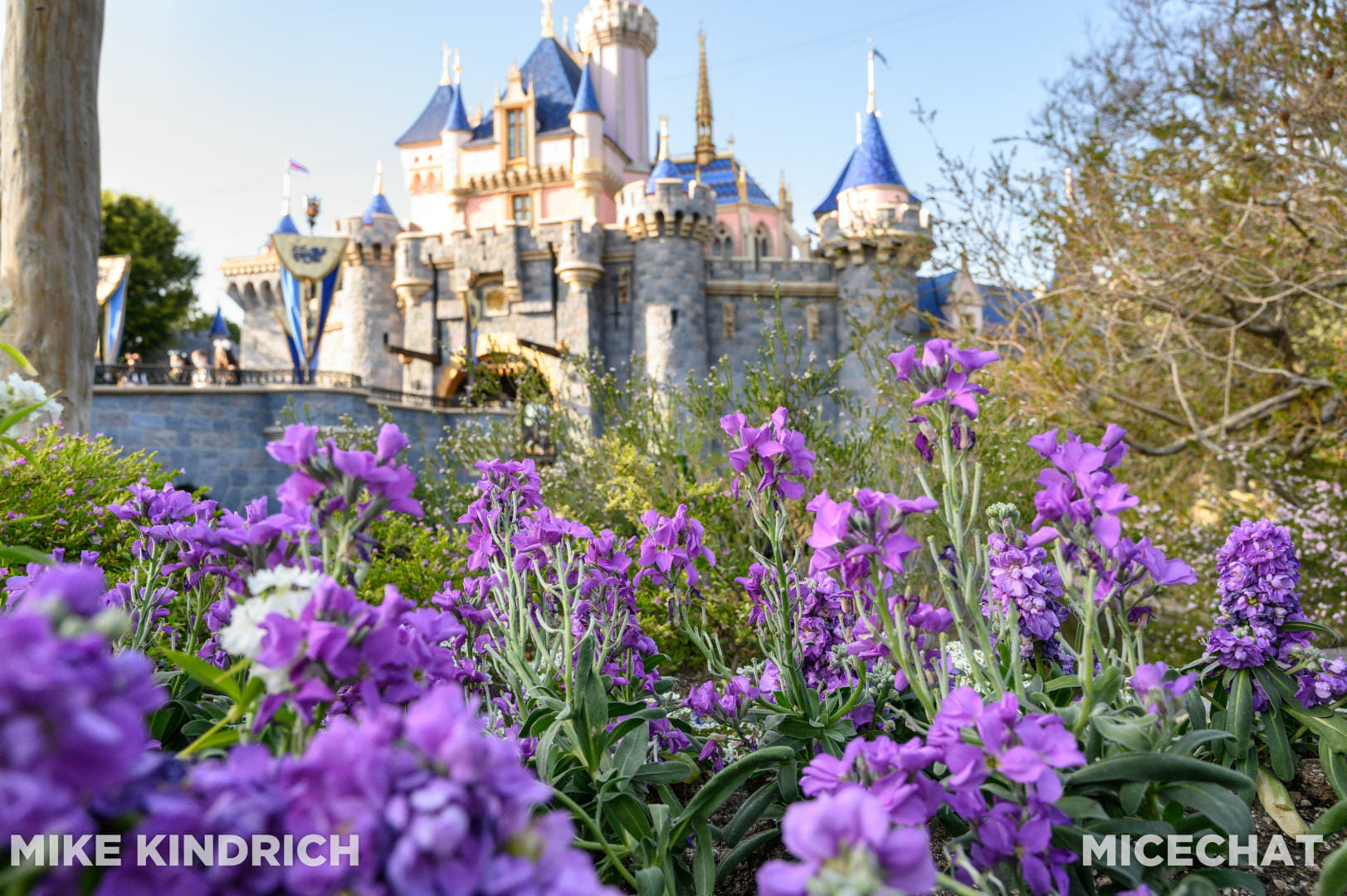 , Disneyland Update – Bibbidi Bobbidi Kaboom!