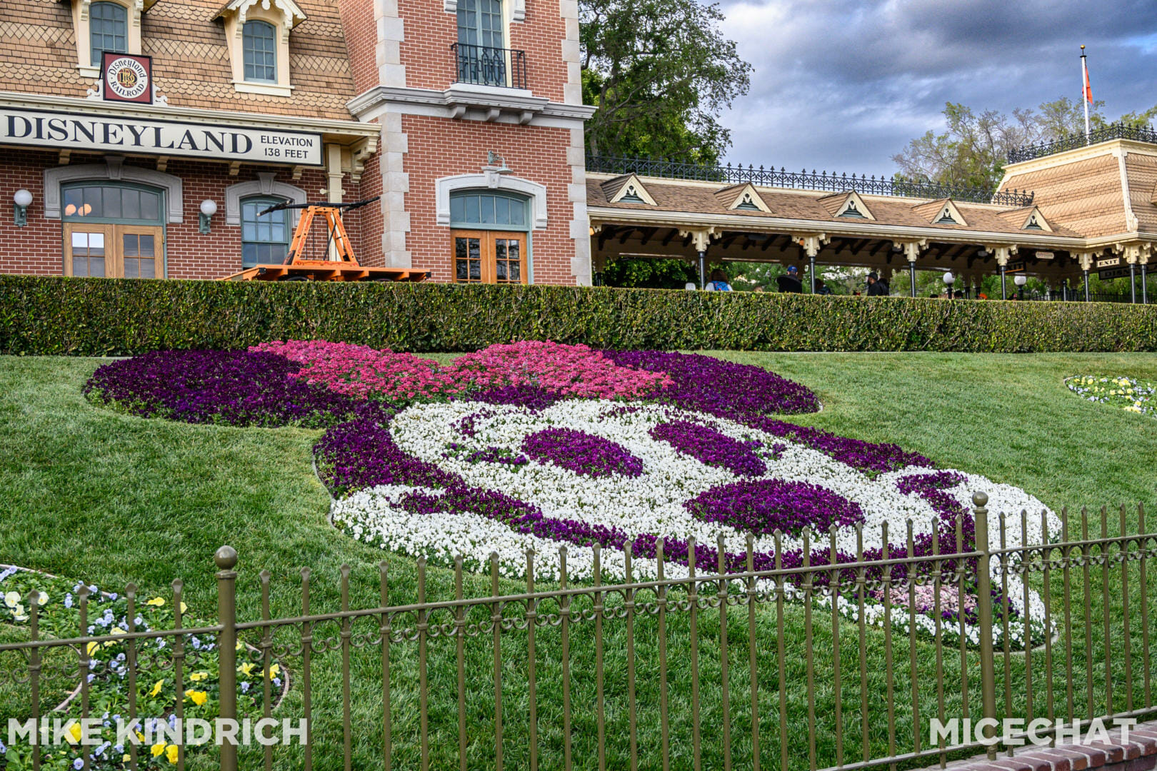 , Disneyland Update – Actions Speak Louder Than Words