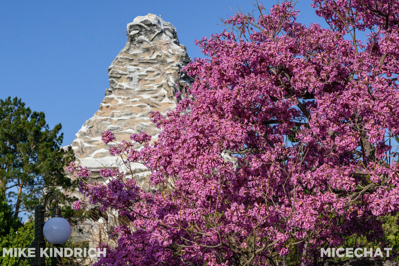 , Disneyland Update – Bibbidi Bobbidi Kaboom!