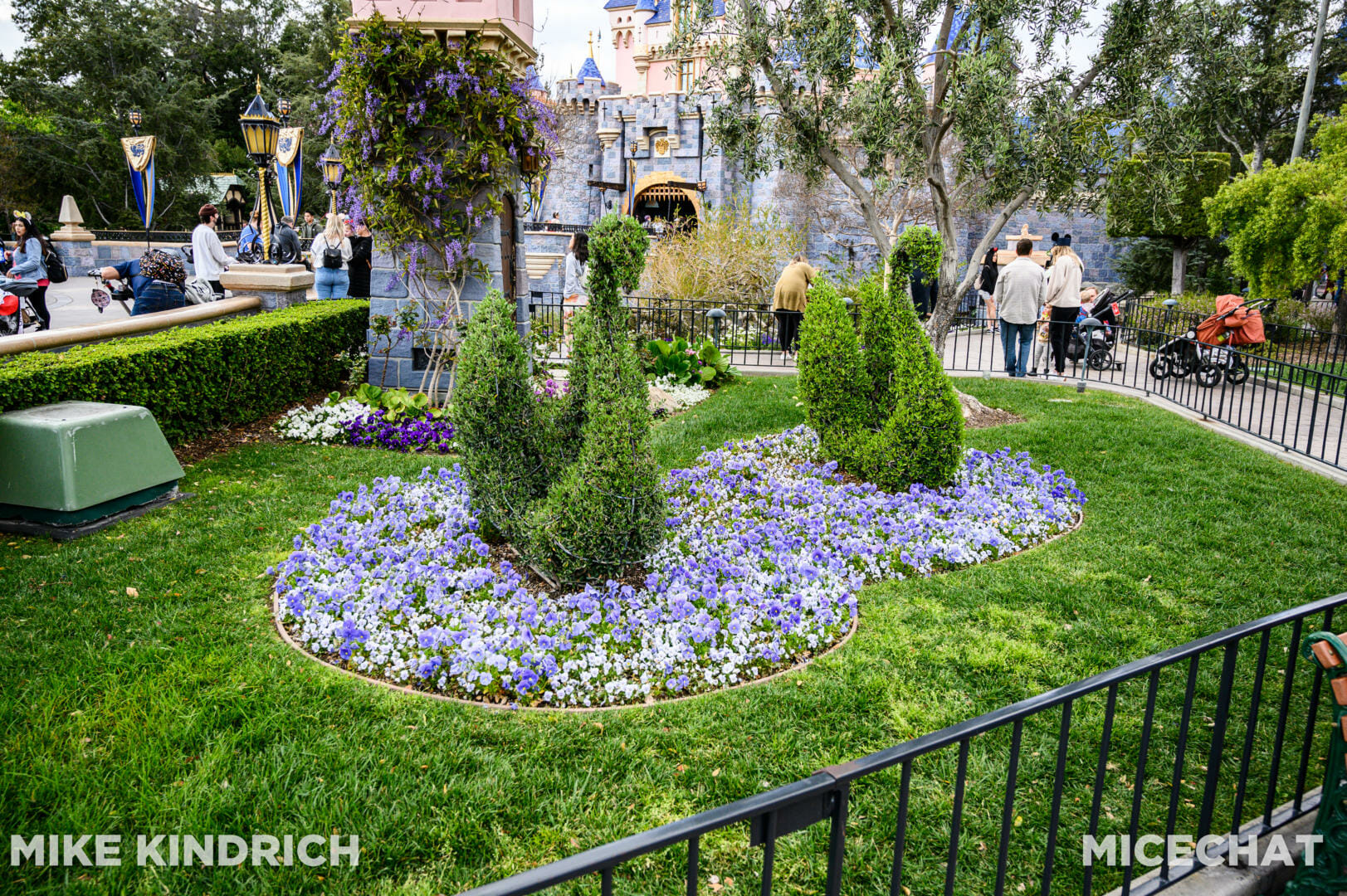 , Disneyland Update – Actions Speak Louder Than Words