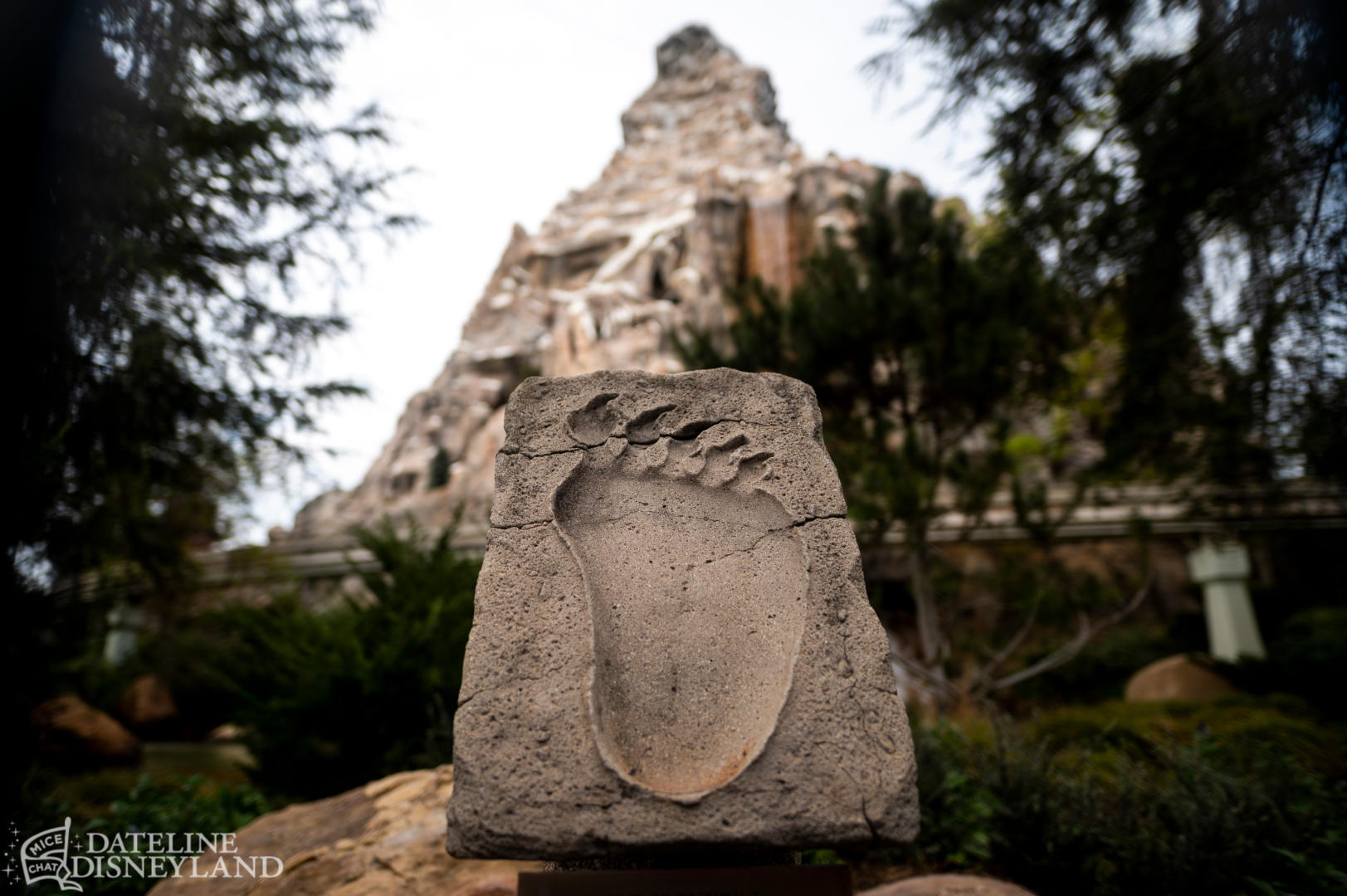 , Disneyland Update: Springtime Magic, Construction & Concerns