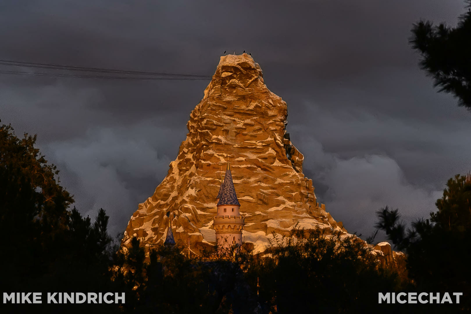 , Disneyland Update – Actions Speak Louder Than Words