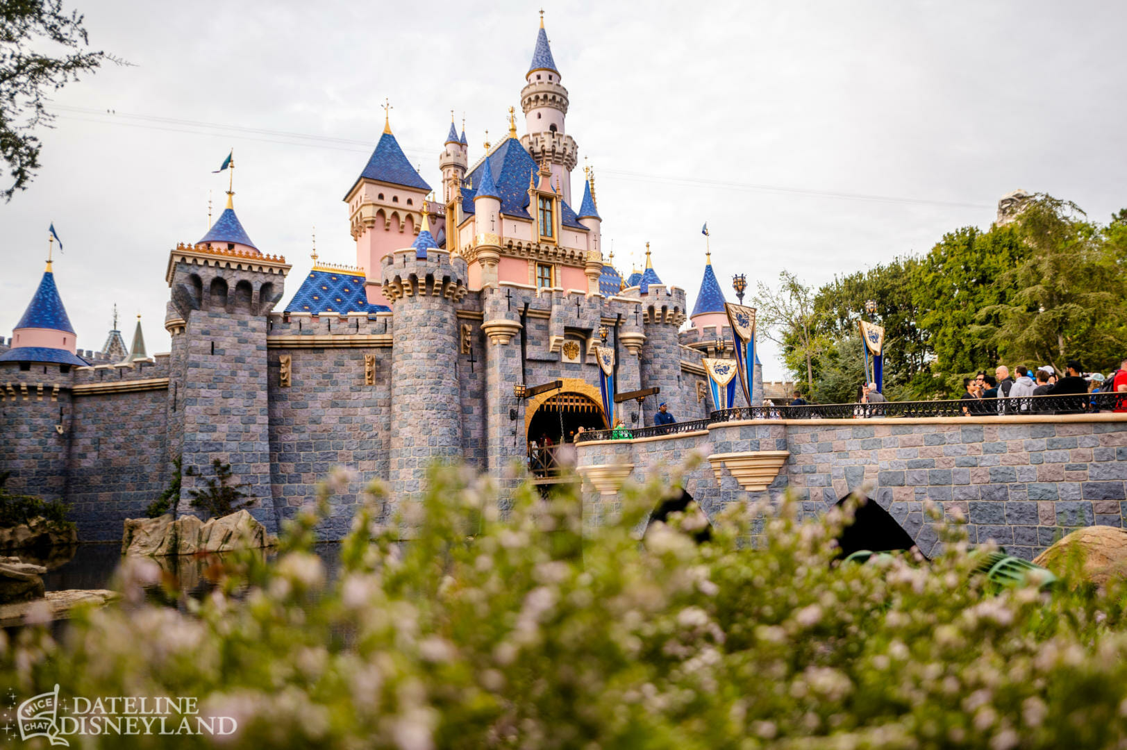 , Disneyland Update: Springtime Magic, Construction & Concerns