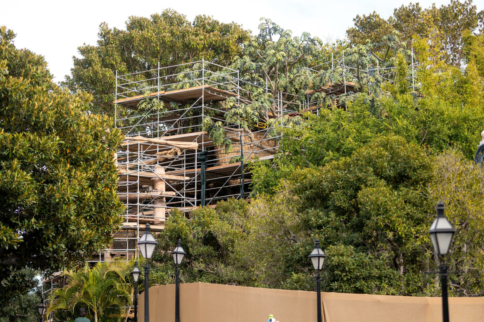 , Disneyland Update: Springtime Magic, Construction &#038; Concerns