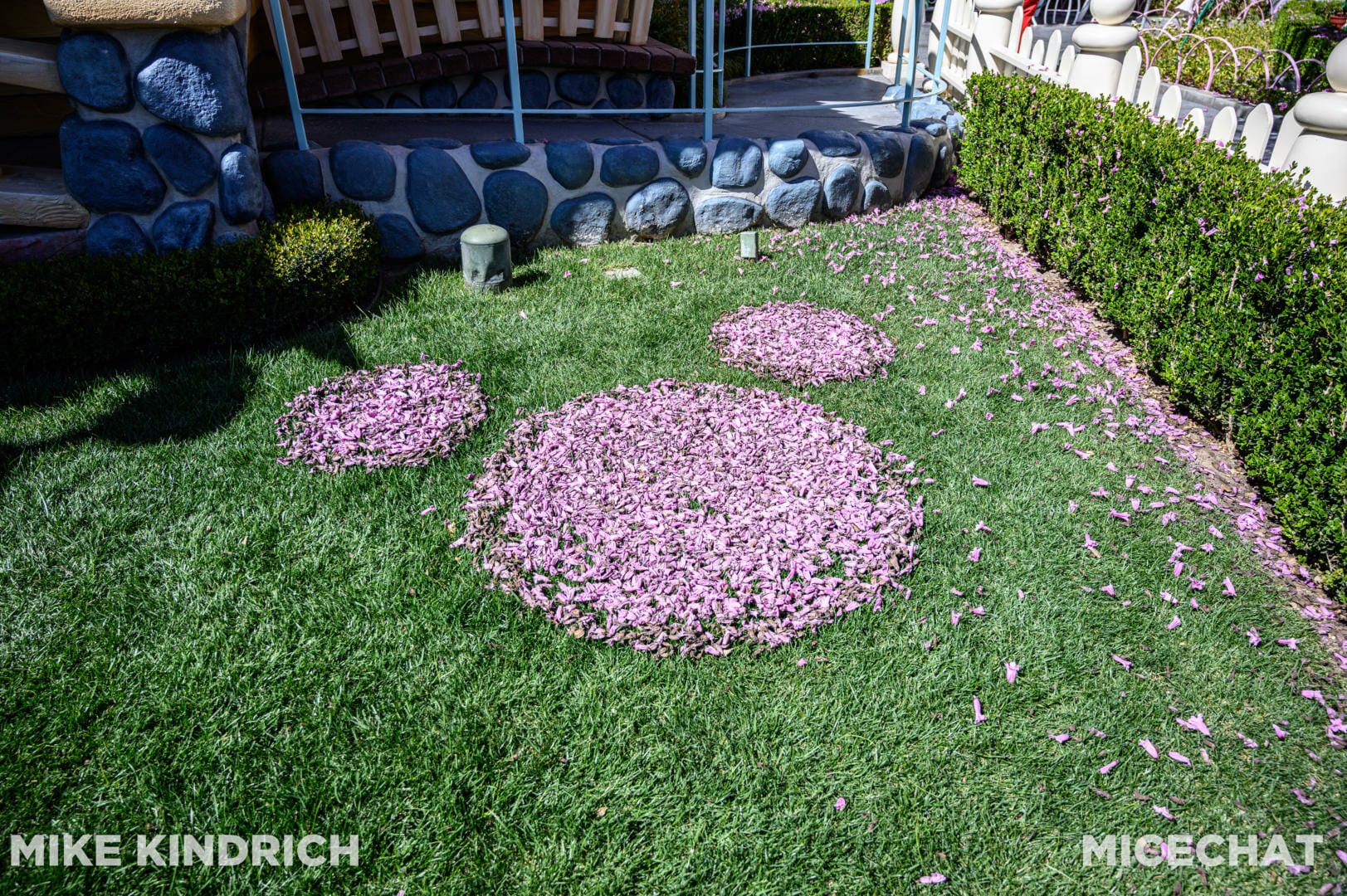 , Disneyland Update – Bibbidi Bobbidi Kaboom!
