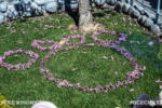 Disneyland_Toontown_Minnie’s House_Flower Minnie – Copy – Copy