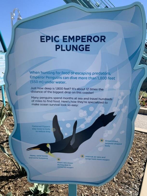 , NEW COASTER: Emperor Dives into SeaWorld San Diego Starting March 12