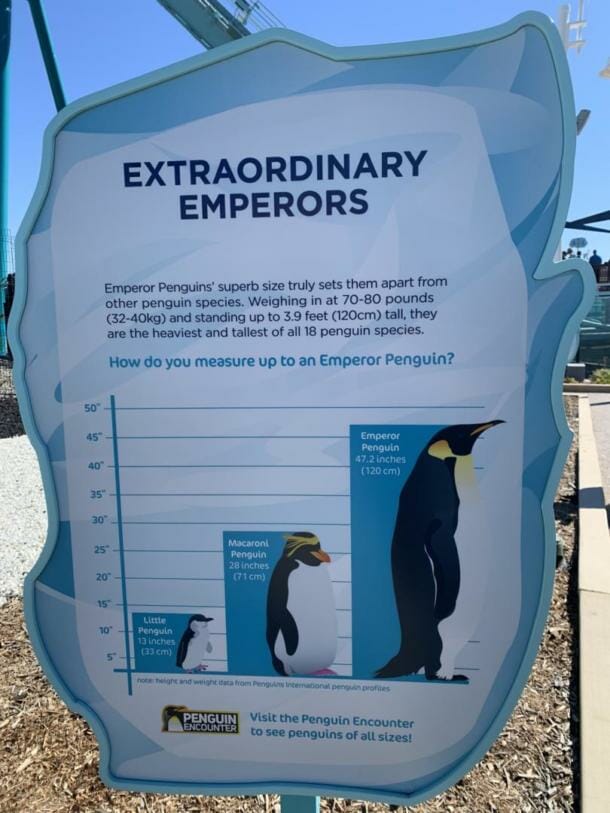 , NEW COASTER: Emperor Dives into SeaWorld San Diego Starting March 12