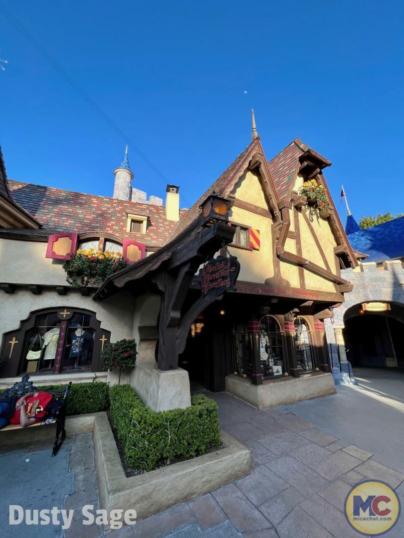, Abracadabra! Merlin’s Marvelous Miscellany Opens at Disneyland