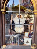 Merlin’s Marvelous Miscellany MiceChat Disneyland Fantasyland exterior window display