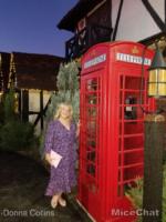 MiceChat Disney Disney Walt Disney Storybook Cottage Mansion Tam O’Shanter Mister MacTarvish Burger MiceChat exterior 2 phone booth