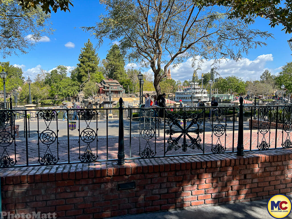 , Disneyland Update – Actions Speak Louder Than Words