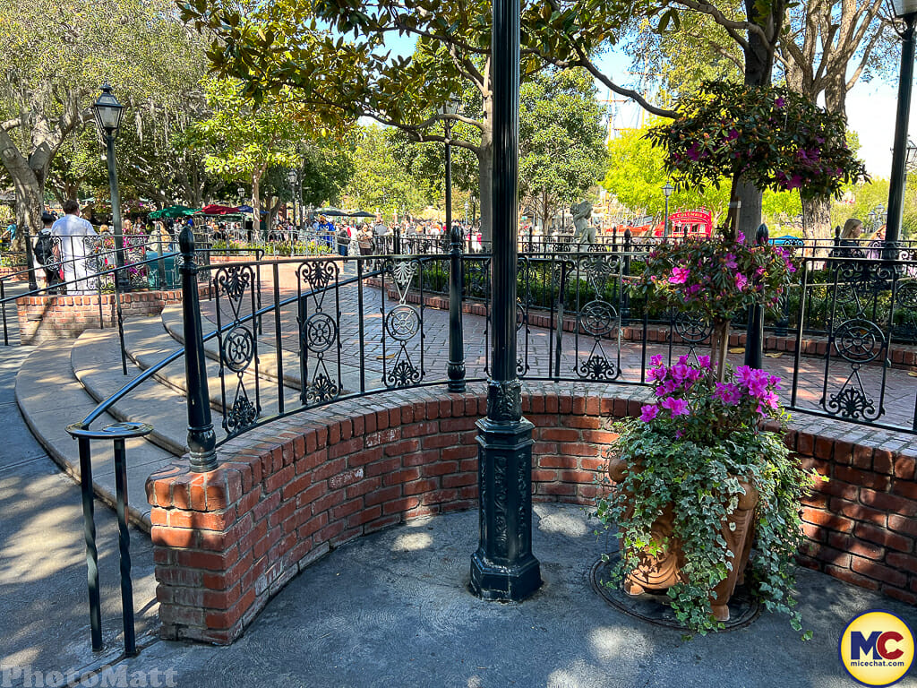 , Disneyland Update – Actions Speak Louder Than Words