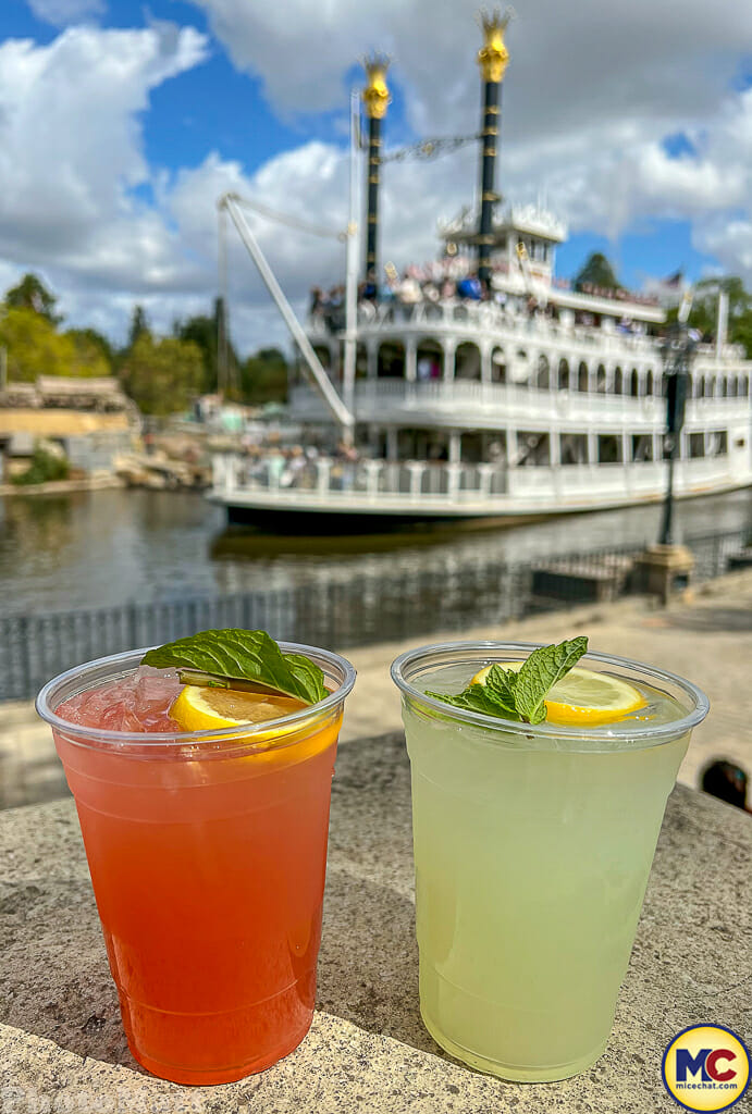 , Disneyland Update – Actions Speak Louder Than Words