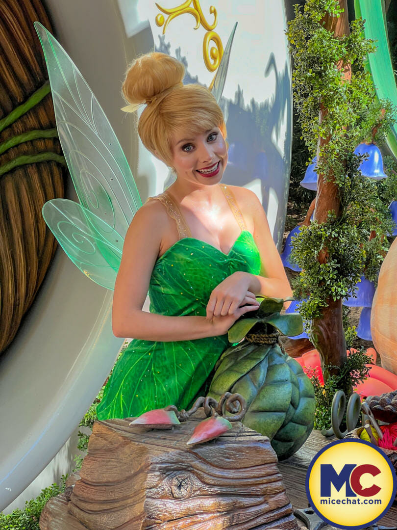 , DISNEYLAND UPDATE: Crowd Crush, Festival Feasts & Disneyland Delays