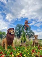 Photo_10EPCOT FLower and Garden Festival 2022
