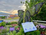 Photo_14EPCOT FLower and Garden Festival 2022