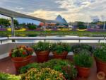 Photo_17EPCOT FLower and Garden Festival 2022