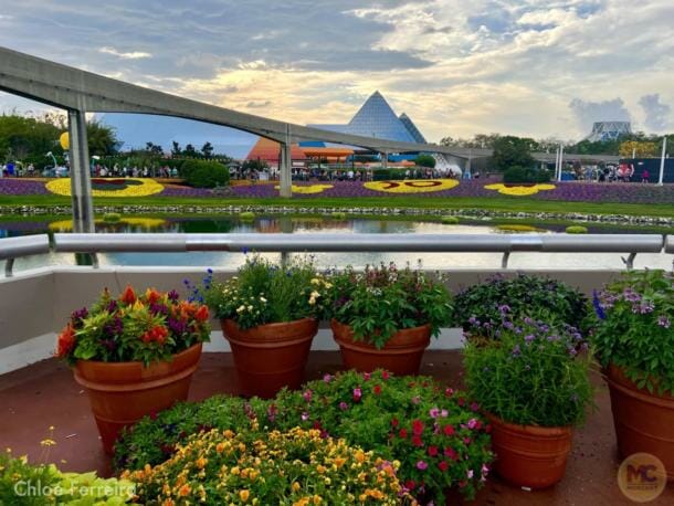 Epcot Flower & Garden, Now Blooming: EPCOT International Flower &#038; Garden Festival 2024