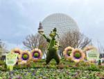 Photo_1EPCOT FLower and Garden Festival 2022